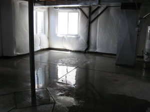 Repairing a Wet Basement Without Breaking The Bank - Ashworth Drainage