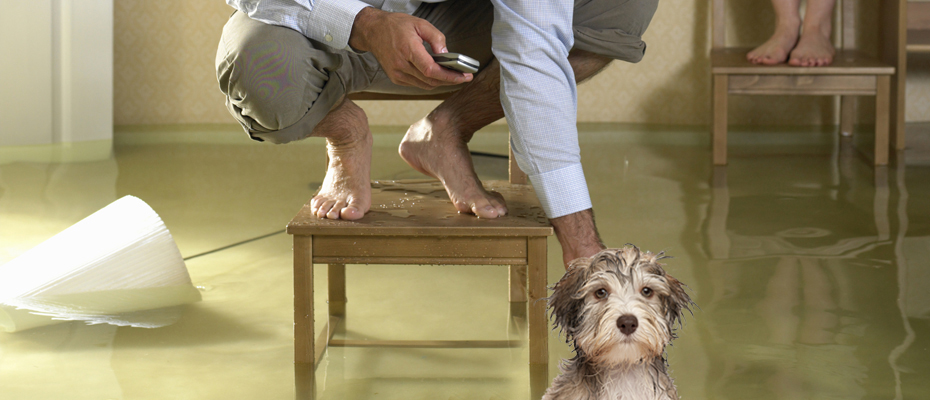 Flooded basement