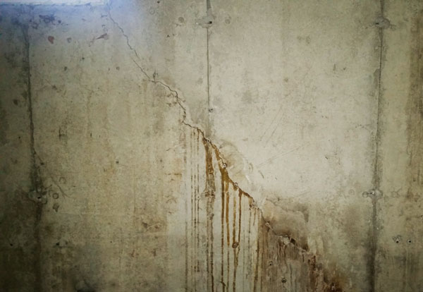 foundation1 Cracked foundation wet basement flooded yard