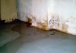 Flooded yard flooded basement flooded house Contractor Rust repair