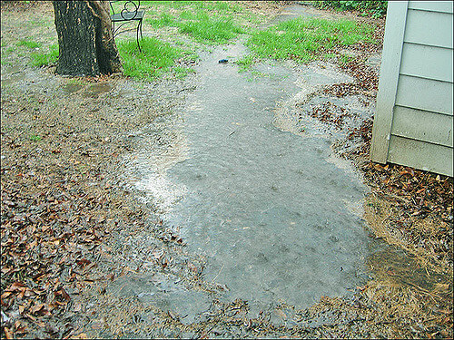 Flooded yard Autumn Flooding basement flooded