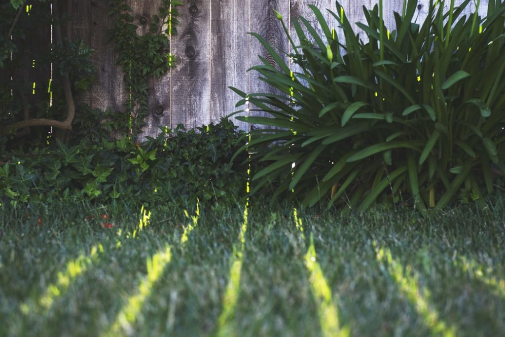 backyard drainage header