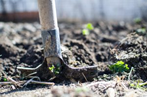 shovel in dirt