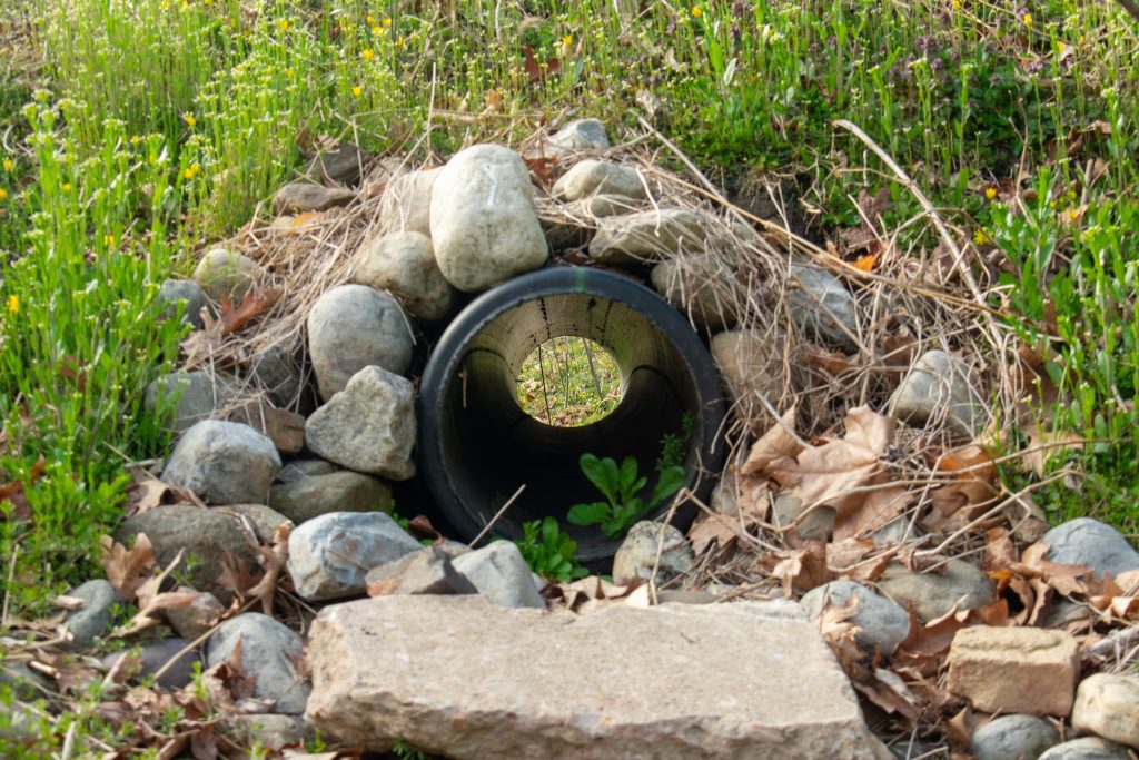 French Drain Backyard