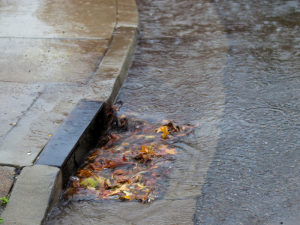 ashworth drainage signs of drainage issues recognizing problems