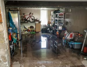 flooded basement
